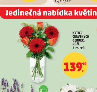 KYTICE ČERVENÝCH GERBER, RŮŽÍ