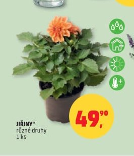 JIŘINY