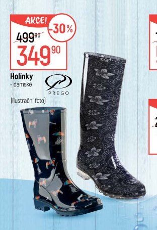 Holínky - dámské