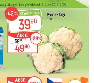 Květák bílý