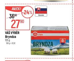 Váš Výběr Bryndza 125 g