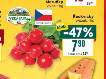 Ředkvičky