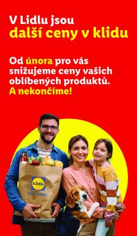 akční leták Lidl 8.6.2026-10.6.2026