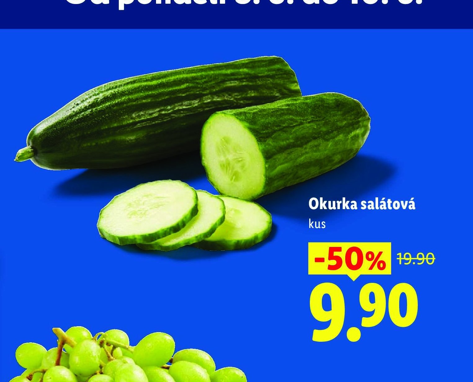 Okurka salátová