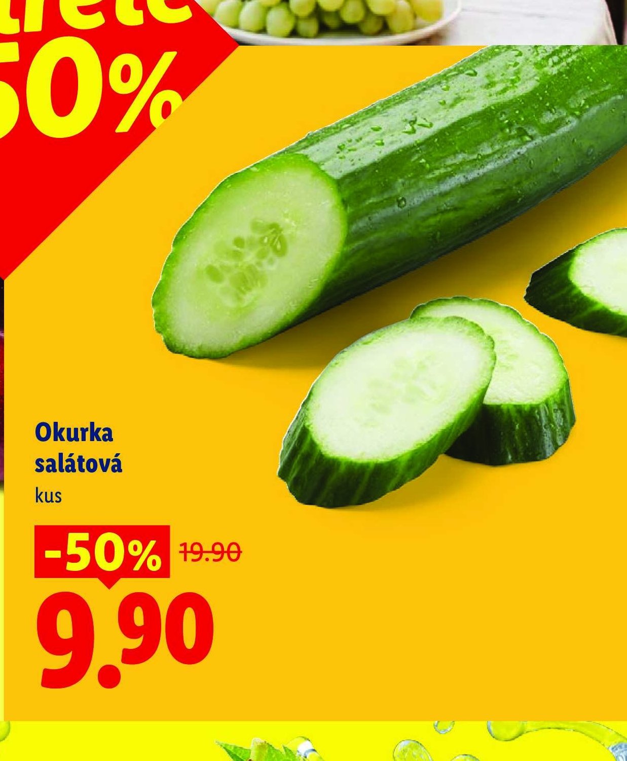 Okurka salátová