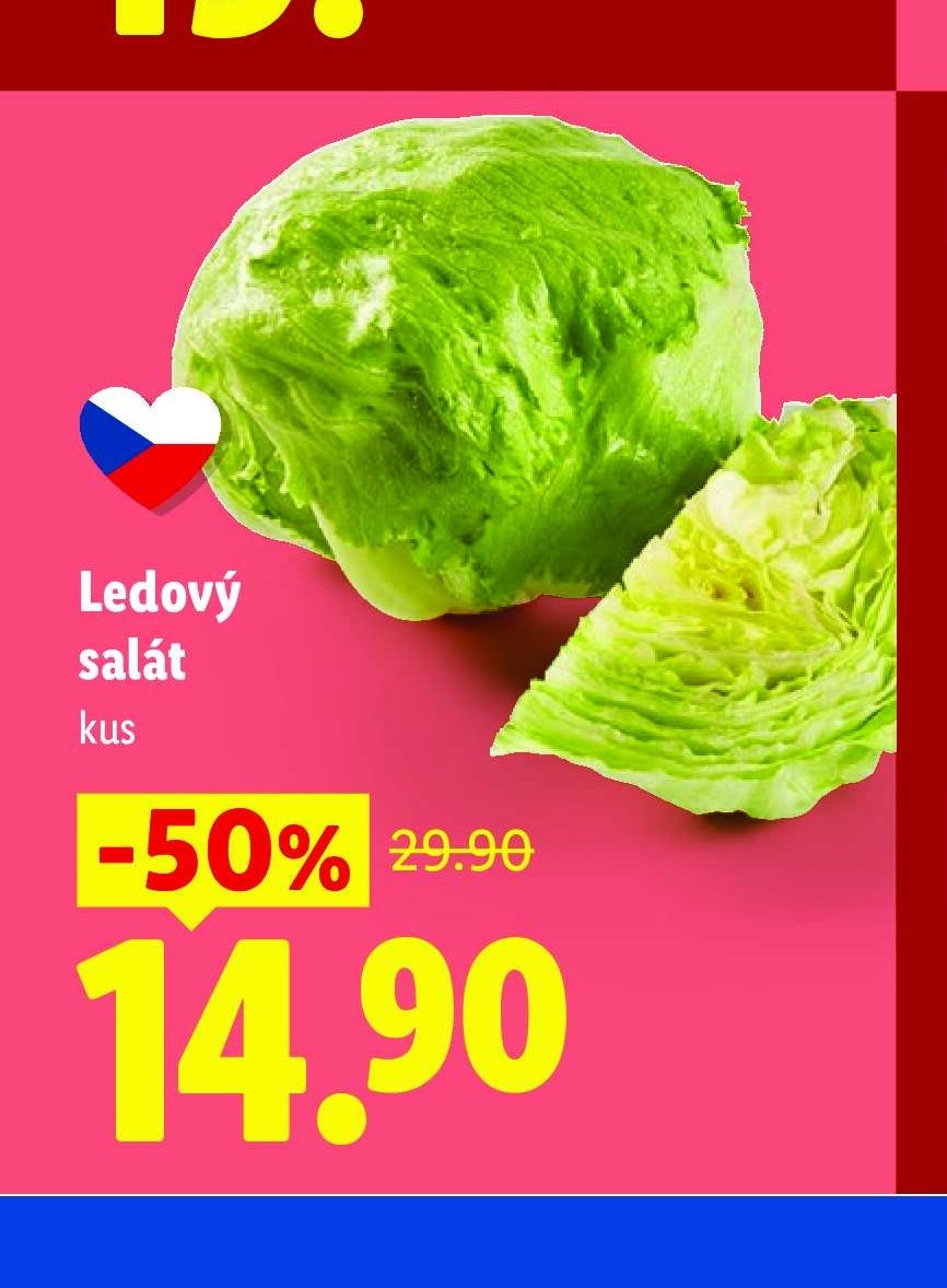 Ledový salát