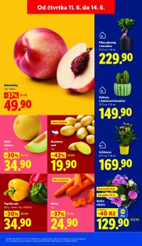 akční leták Lidl 11.6.2026-14.6.2026
