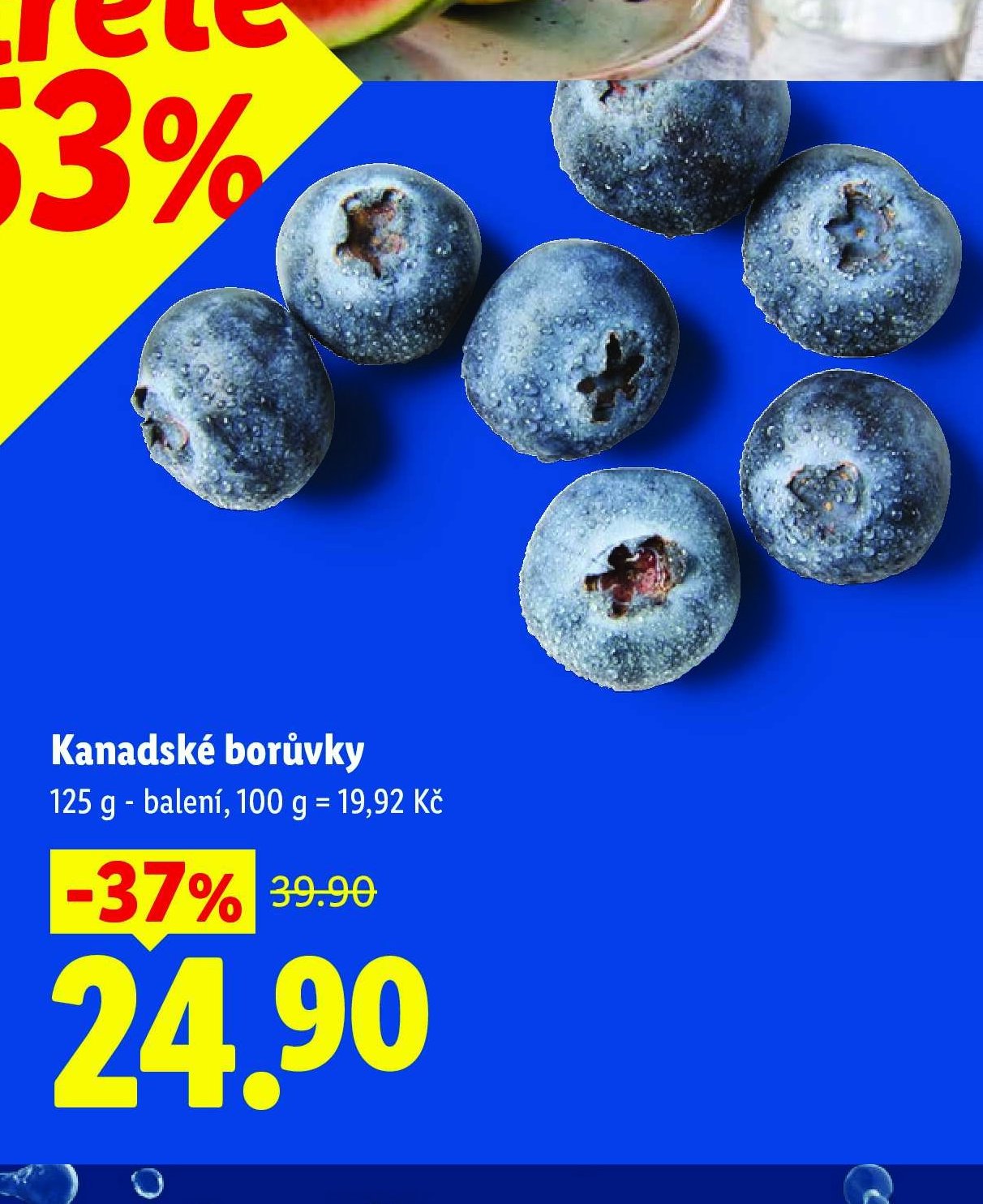 Kanadské borůvky