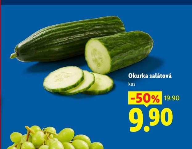Okurka salátová