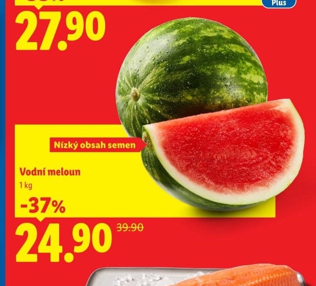 Vodní meloun