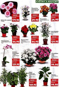 akční leták Kaufland 10.6.2026-16.6.2026