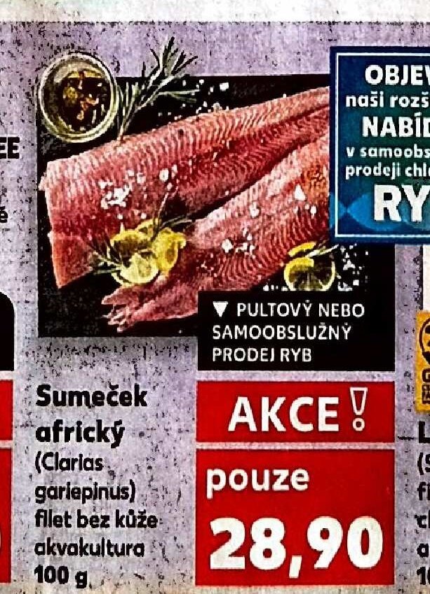 Sumeček africký