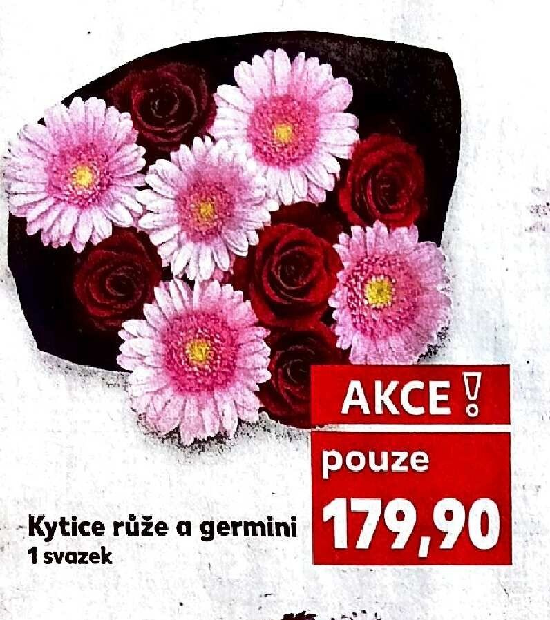 Kytice růže a germini