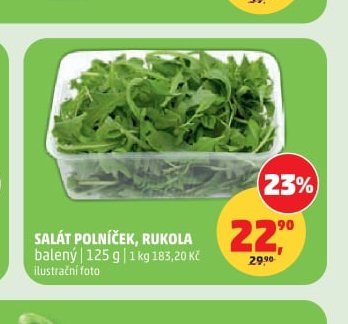 SALÁT POLNÍČEK, RUKOLA