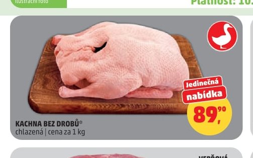 KACHNA BEZ DROBŮ