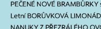 Letní BORŮVKOVÁ LIMONÁDA