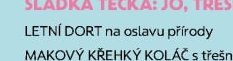 LETNÍ DORT na oslavu přírody