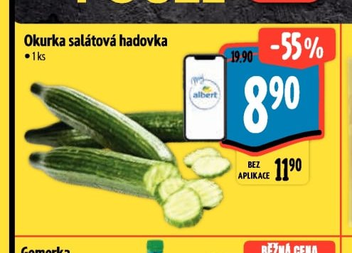 Okurka salátová hadovka