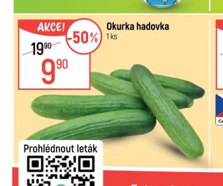 Okurka hadovka