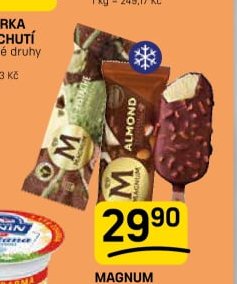 MAGNUM vybrané druhy 85-110 ml