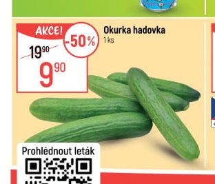 Okurka hadovka