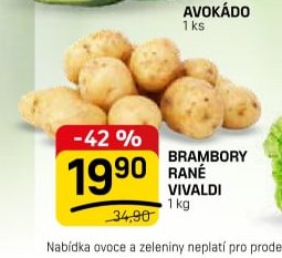 Brambory rané Vivaldi