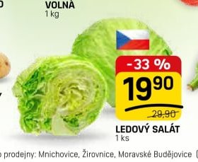 Ledový salát