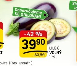 Lilek volný