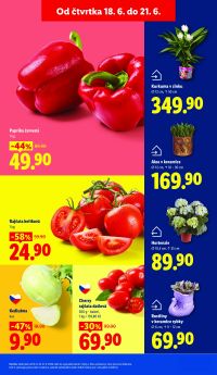 akční leták Lidl 18.6.2026-21.6.2026