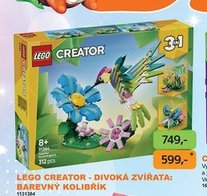 LEGO CREATOR - DIVOKÁ ZVÍŘATA: BAREVNÝ KOLIBŘÍK