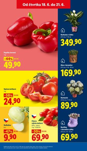 akční leták Lidl 18.6.2026-21.6.2026