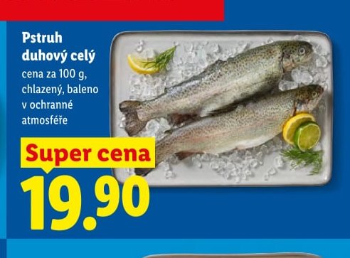 Pstruh duhový celý