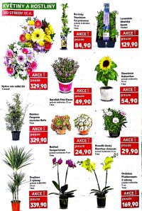 akční leták Kaufland 17.6.2026-23.6.2026