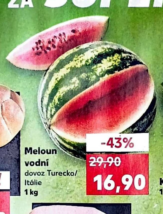 Meloun vodní