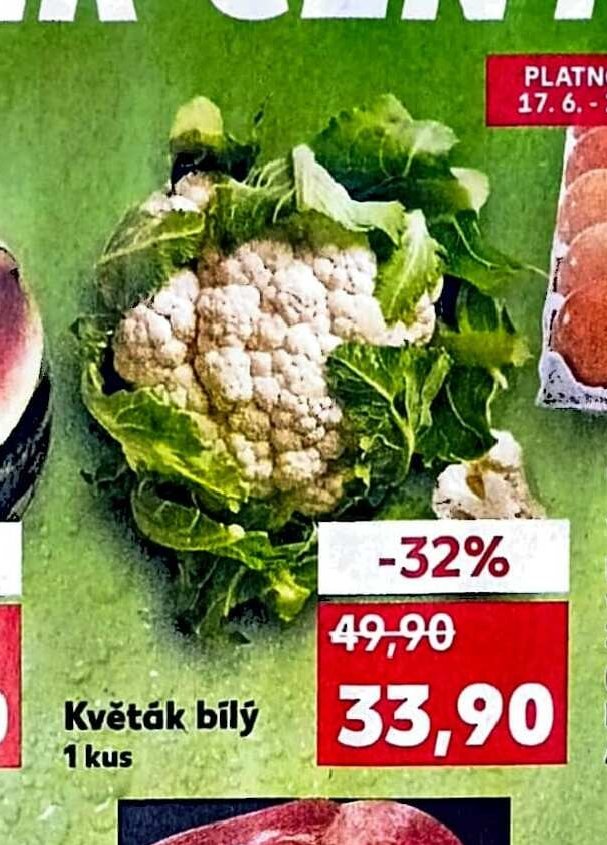 Květák bílý