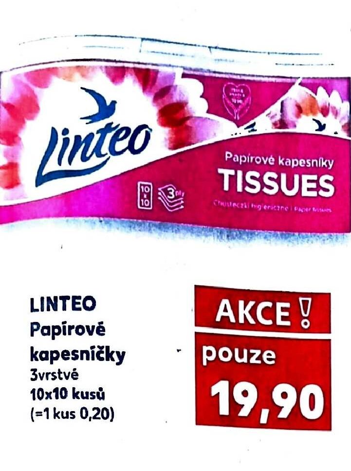 LINTEO Papírové kapesníčky 10x10 kusů