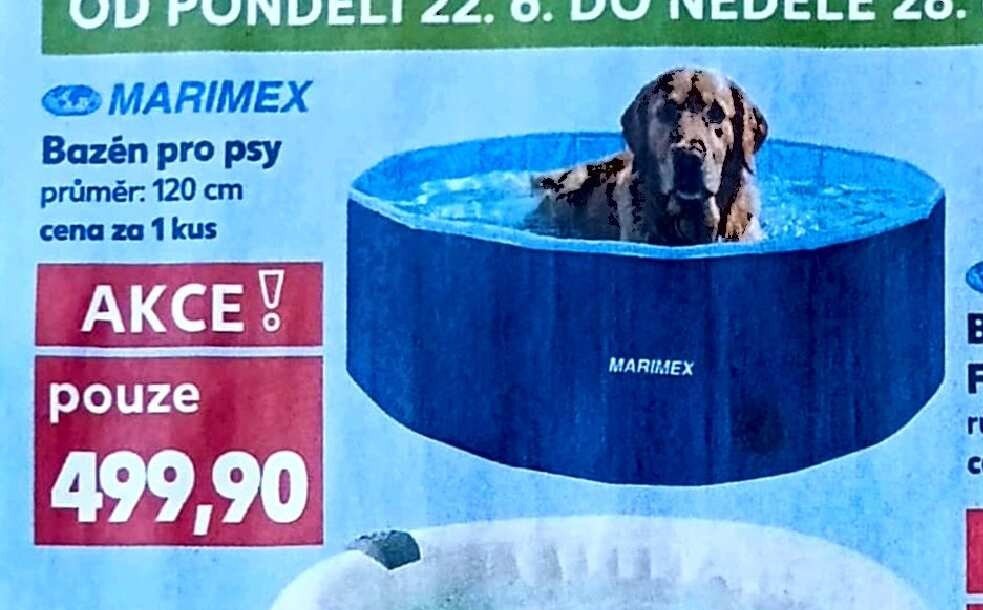 Marimex Bazén pro psy 120 cm