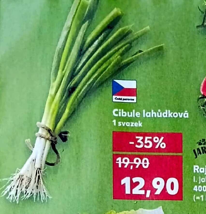 Cibule lahůdková