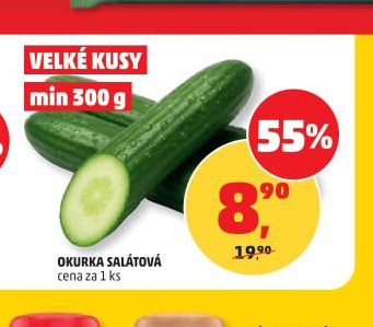 Okurka salátová