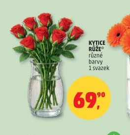 KYTICE RŮŽE