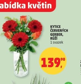 KYTICE ČERVENÝCH GERBER, RŮŽI
