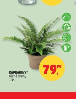 KAPRADINY