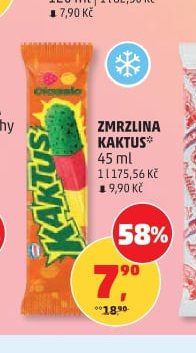 ZMRLZINA KAKTUS