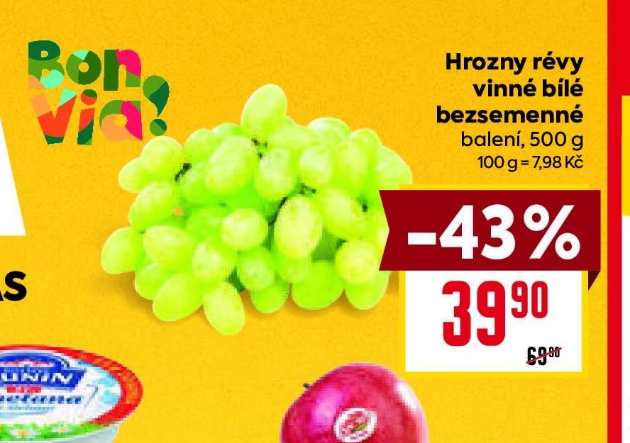Hrozny révy vinné bílé bezsemenné