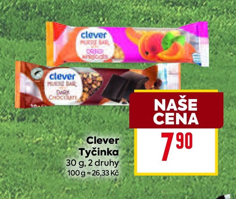 Clever Tyčinka