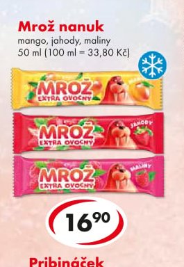 Mrož nanuk