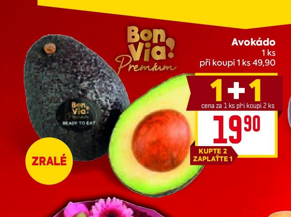 Avokádo