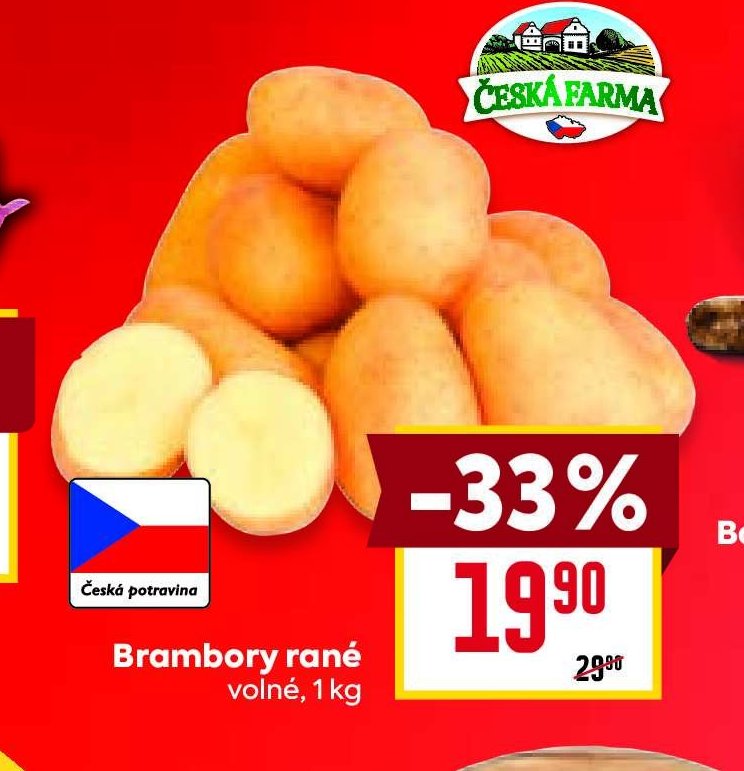 Brambory rané