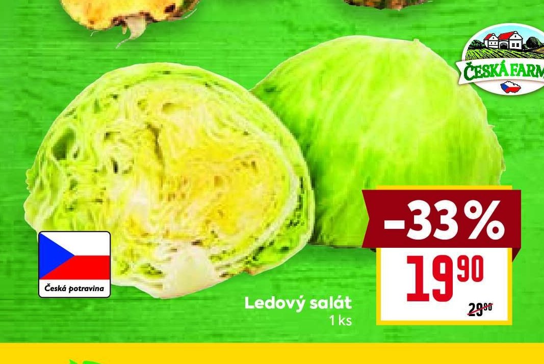 Ledový salát