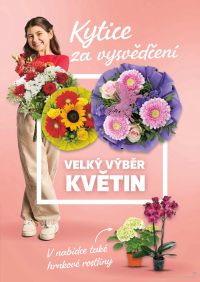 akční leták Kaufland 24.6.2026-30.6.2026